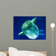 Sunfish Wall Decal