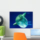 Sunfish Wall Mural