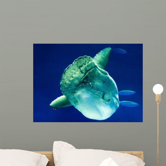 Sunfish Wall Decal