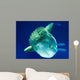 Sunfish Wall Decal