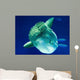 Sunfish Wall Decal