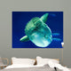 Sunfish Wall Decal