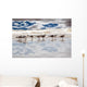 beach and seagulls Wall Mural