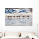beach and seagulls Wall Mural