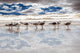 beach and seagulls Wall Mural