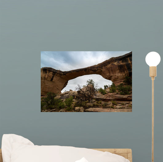 Natural Bridges Utah Wall Mural