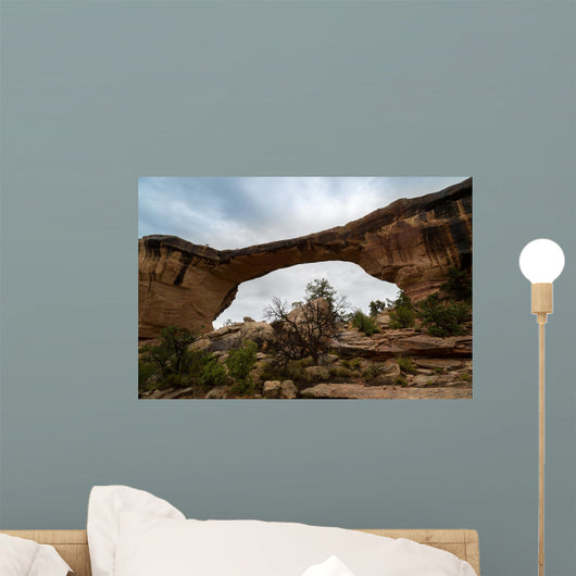 Natural Bridges Utah Wall Mural