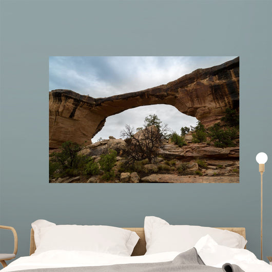 Natural Bridges Utah Wall Mural