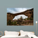 Natural Bridges Utah Wall Mural