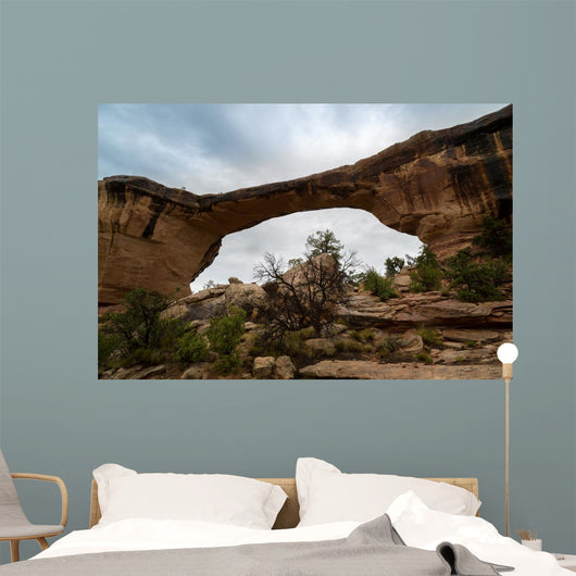 Natural Bridges Utah Wall Mural