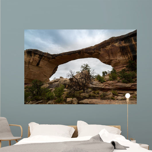 Natural Bridges Utah Wall Mural