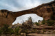 Natural Bridges Utah Wall Mural