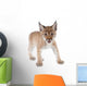 Eurasian Lynx cub on white Wall Decal