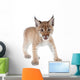 Eurasian Lynx cub on white Wall Decal