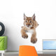 Eurasian Lynx cub on white Wall Decal