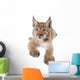 Eurasian Lynx cub on white Wall Decal