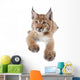 Eurasian Lynx cub on white Wall Decal