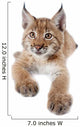 Eurasian Lynx cub on white Wall Decal