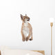 Eurasian Lynx cub on white Wall Decal