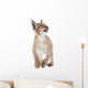 Eurasian Lynx cub on white Wall Decal
