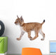 Eurasian Lynx cub on white Wall Decal