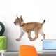 Eurasian Lynx cub on white Wall Decal