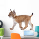 Eurasian Lynx cub on white Wall Decal