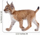 Eurasian Lynx cub on white Wall Decal