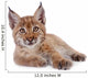 Eurasian Lynx cub on white Wall Decal