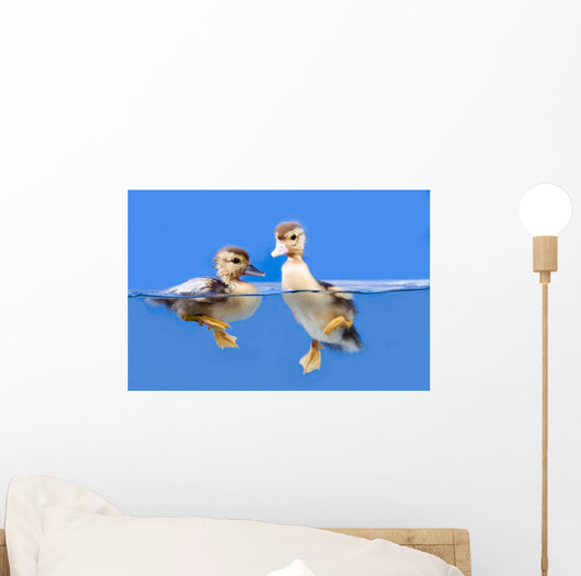 duck Wall Mural