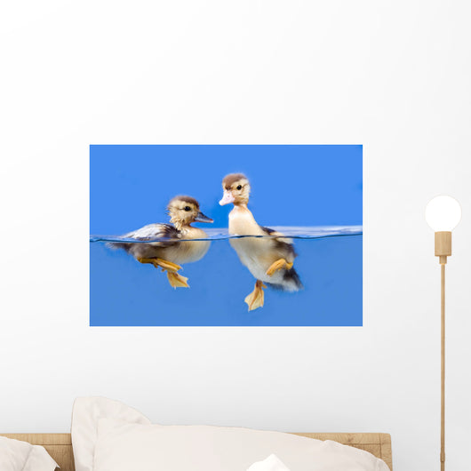 duck Wall Mural