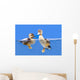 duck Wall Mural