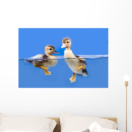 duck Wall Mural