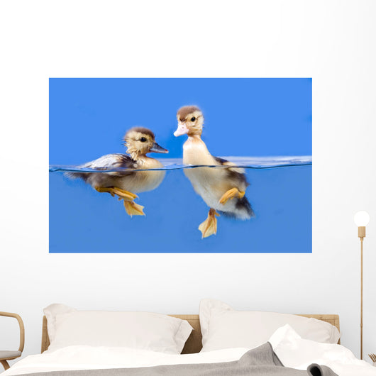 duck Wall Mural