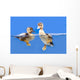 duck Wall Mural