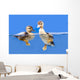 duck Wall Mural