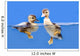 duck Wall Mural