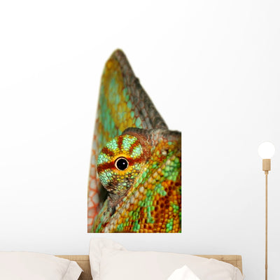 Chameleon Wall Decal shown on a wall
