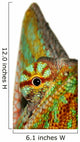 Chameleon Wall Decal