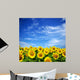 sunflower field Wall Mural