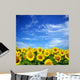 sunflower field Wall Mural