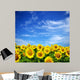 sunflower field Wall Mural