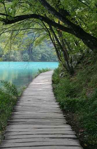 Jetty Lake Wall Decal