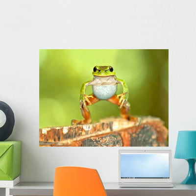 Frog Wall Mural shown on a wall