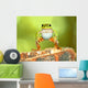 Frog Wall Mural