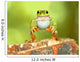 Frog Wall Mural