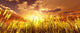 Golden Wheat Field Wall Decal Design 2