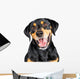 Closeup Portrait Happy Rottweiler Crossbreed Dog Wall Decal