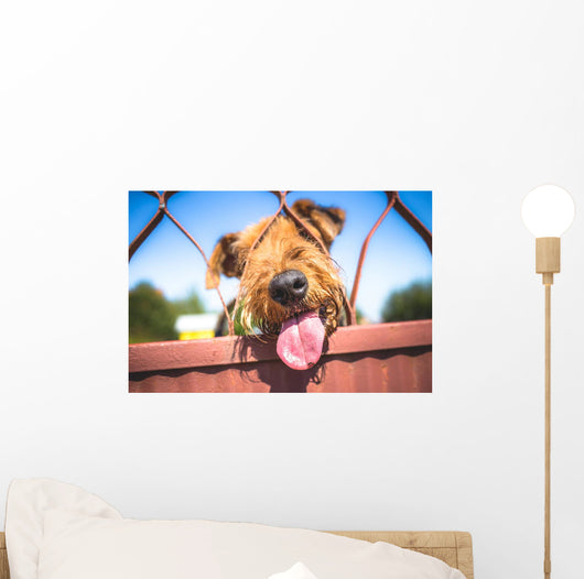 Funny Airedale Terrier dog Wall Mural