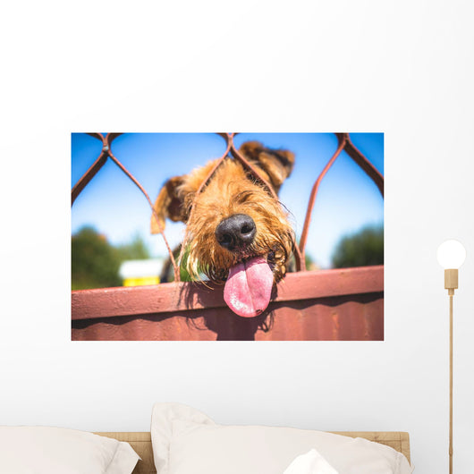 Funny Airedale Terrier dog Wall Mural